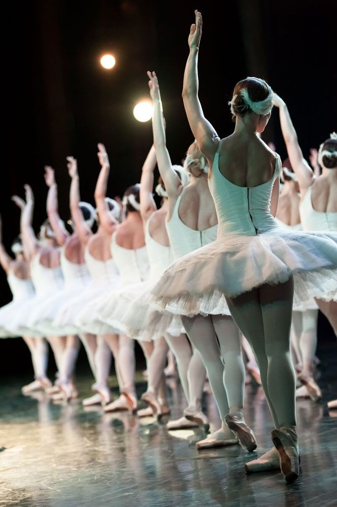 swan lake