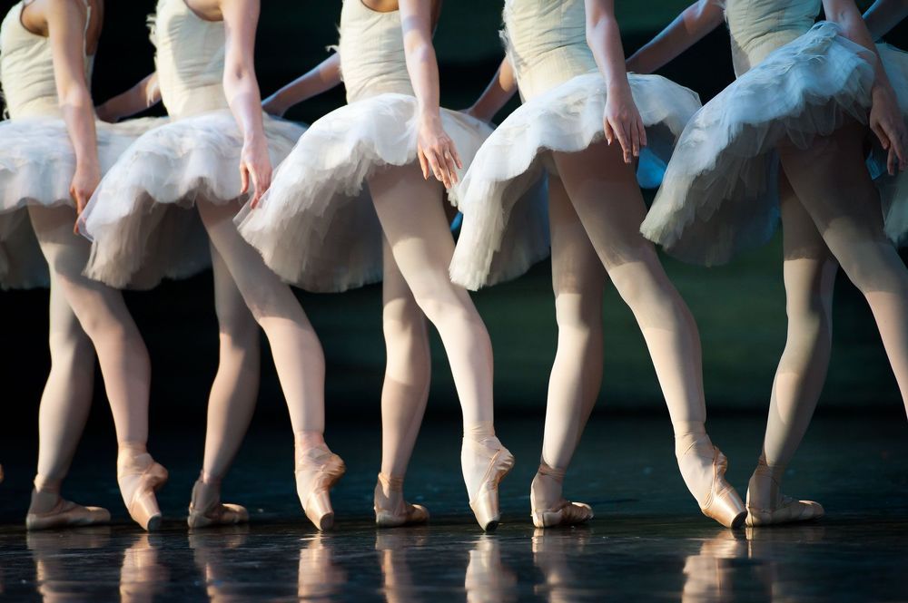 swan lake
