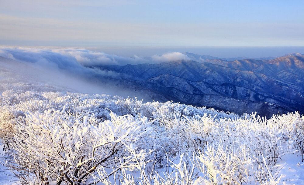 Winter morning in the Taebaek Mountain