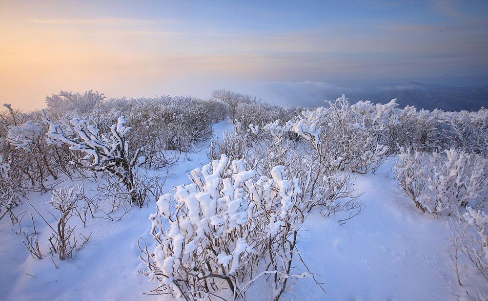 Winter morning in the Taebaek Mountain