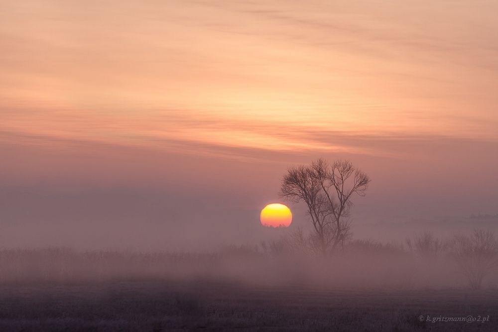 morning time ...