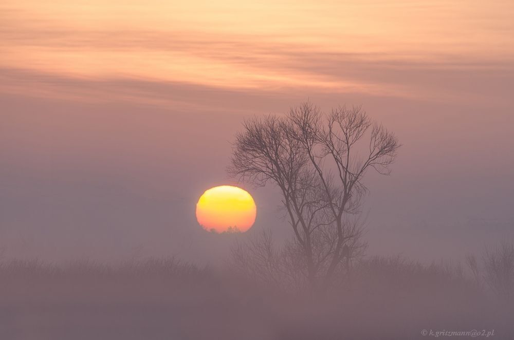 morning time ...