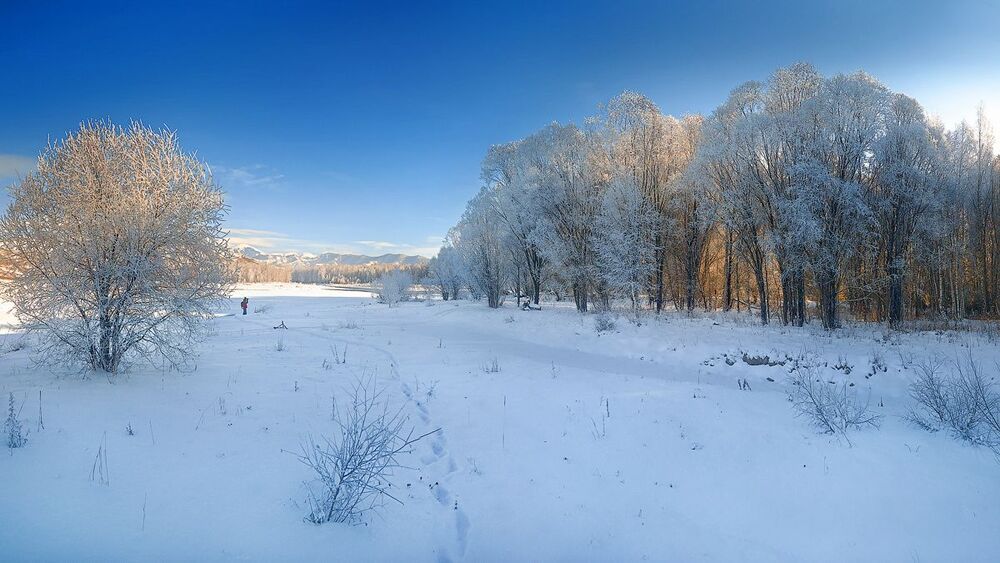 Новый Год под звездами 2014.