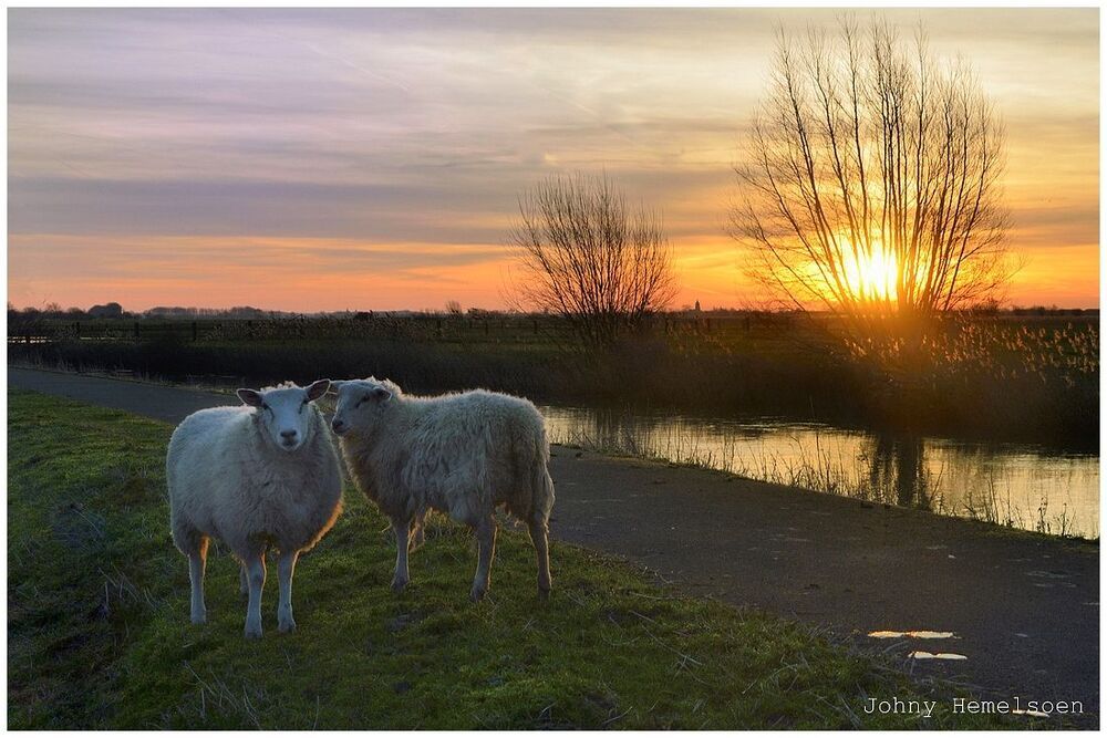 A romantic sunrise today.