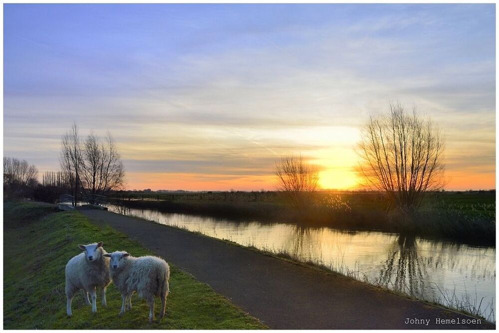 A romantic sunrise today.