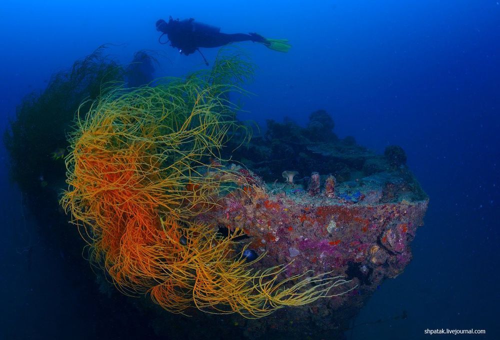 Nanshin Maru. wreck