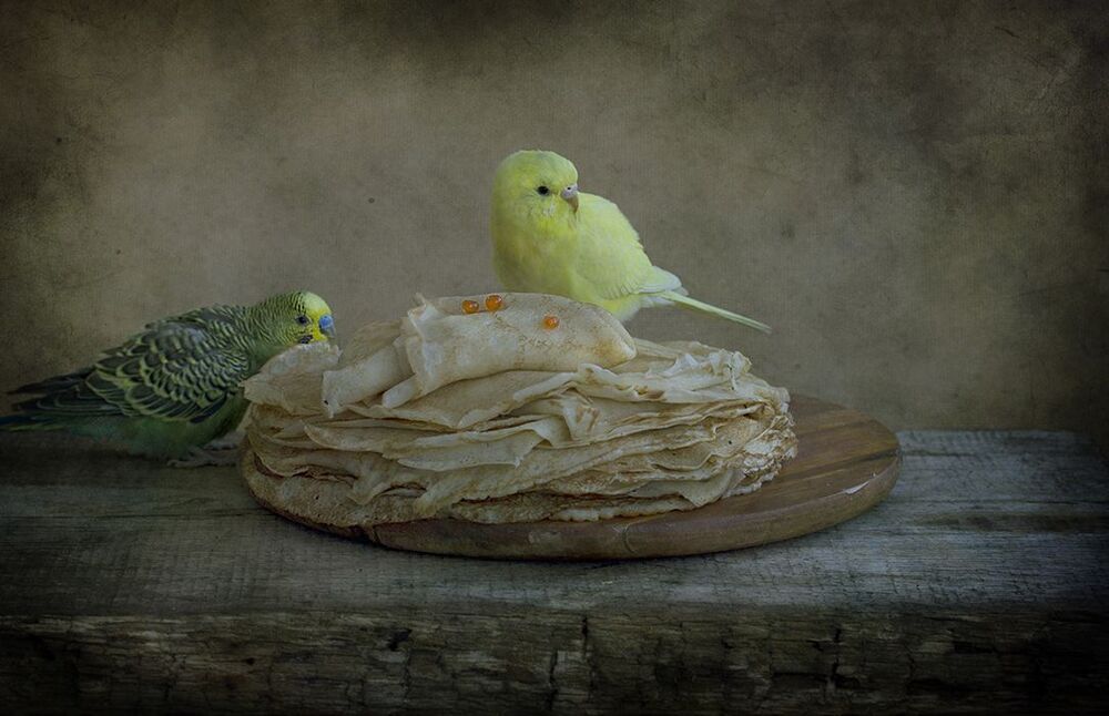 Жёлтый слушает, Зелёный ест:)