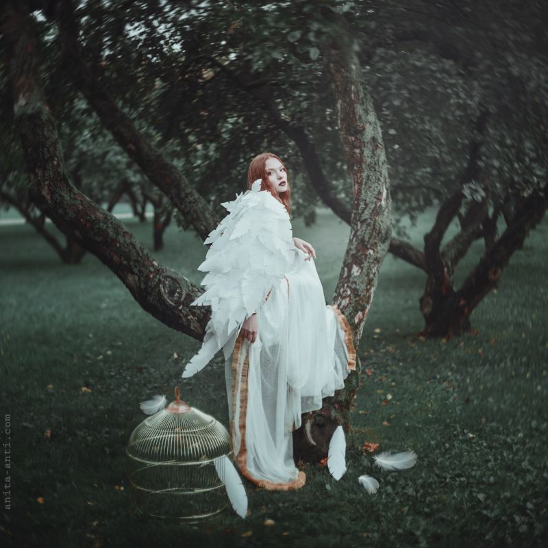 Fallen