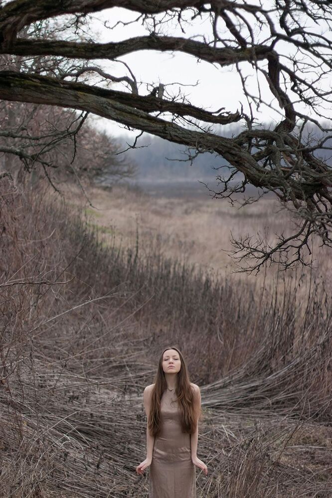 mary dorn
