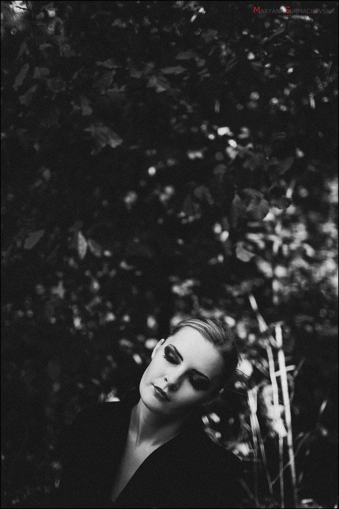 Photo 518606