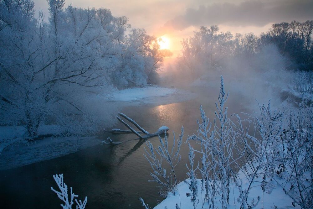 Зимним утром