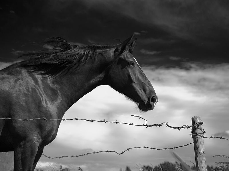10 фотографий