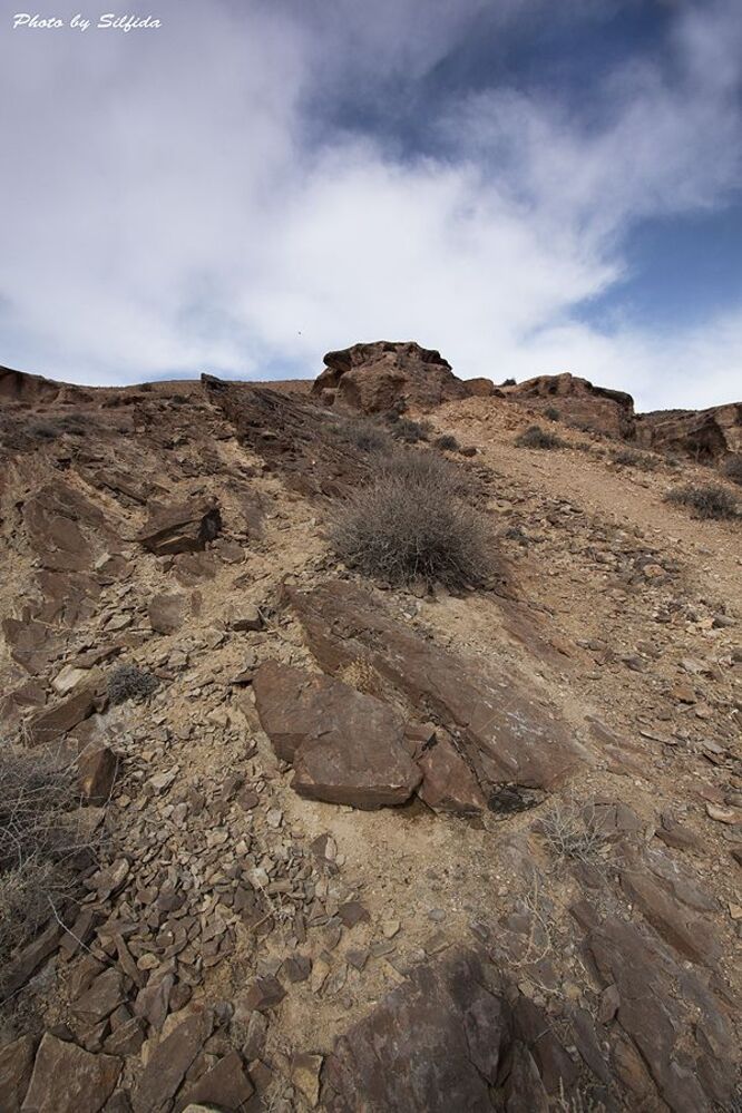 Урочище  Чарын.