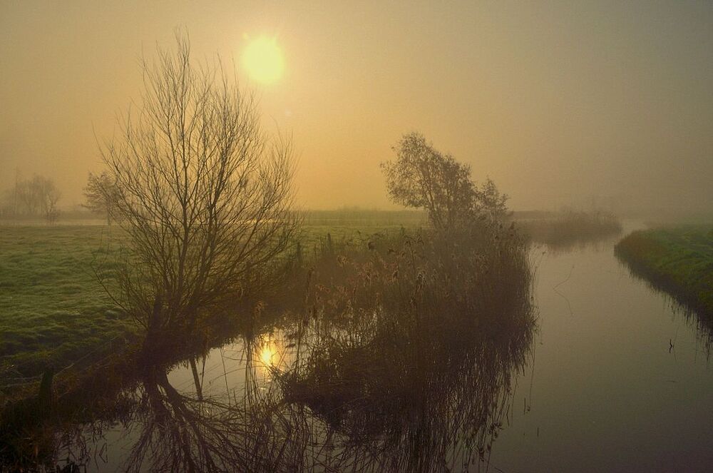 Today a foggy morning.