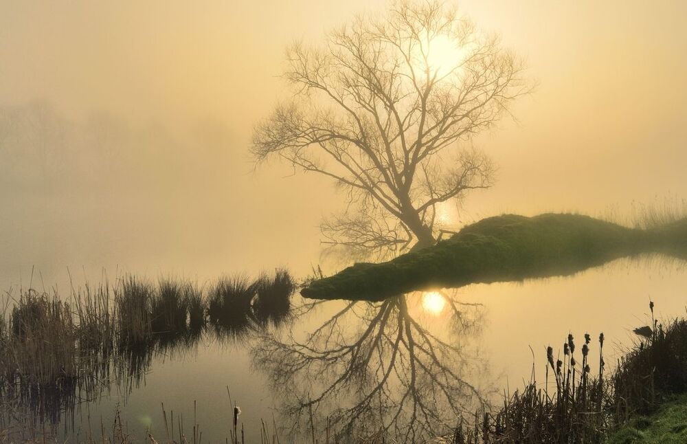 Today a foggy morning.