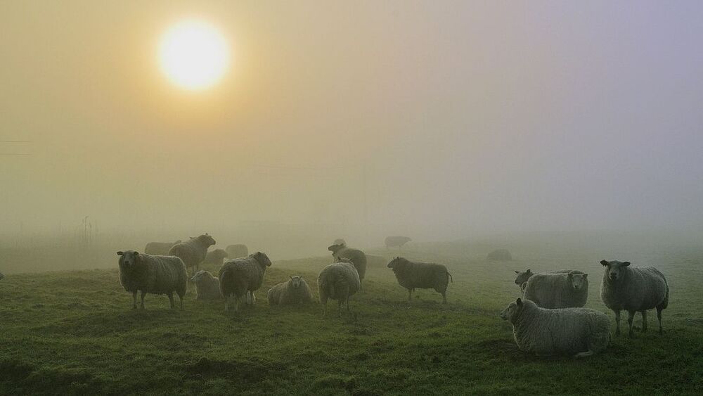 Today a foggy morning.