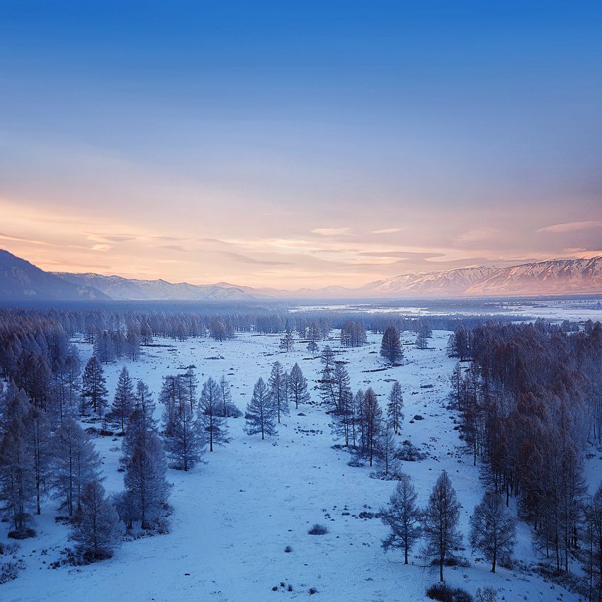 Рядом с поселком Мульта.