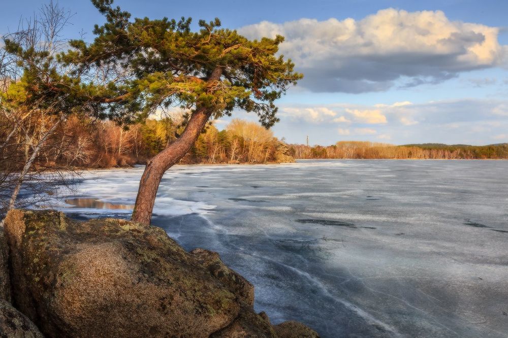 Весенние зарисовки