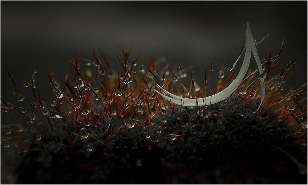 Fragility of the System