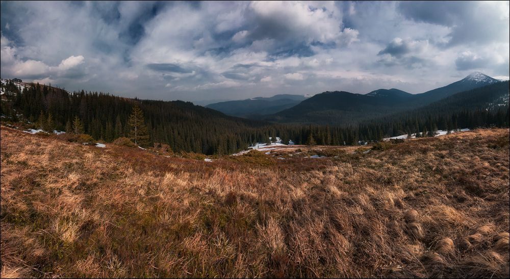 Карпати 15.03.14