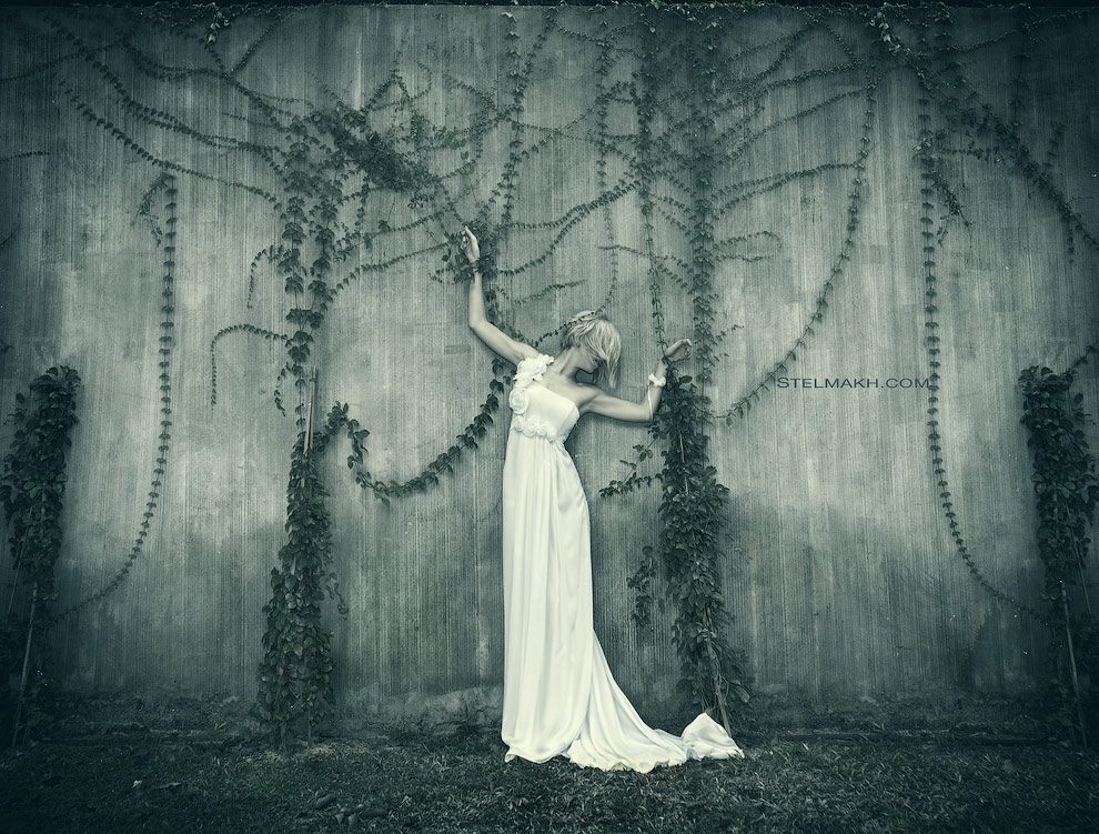 Wedding Dreams