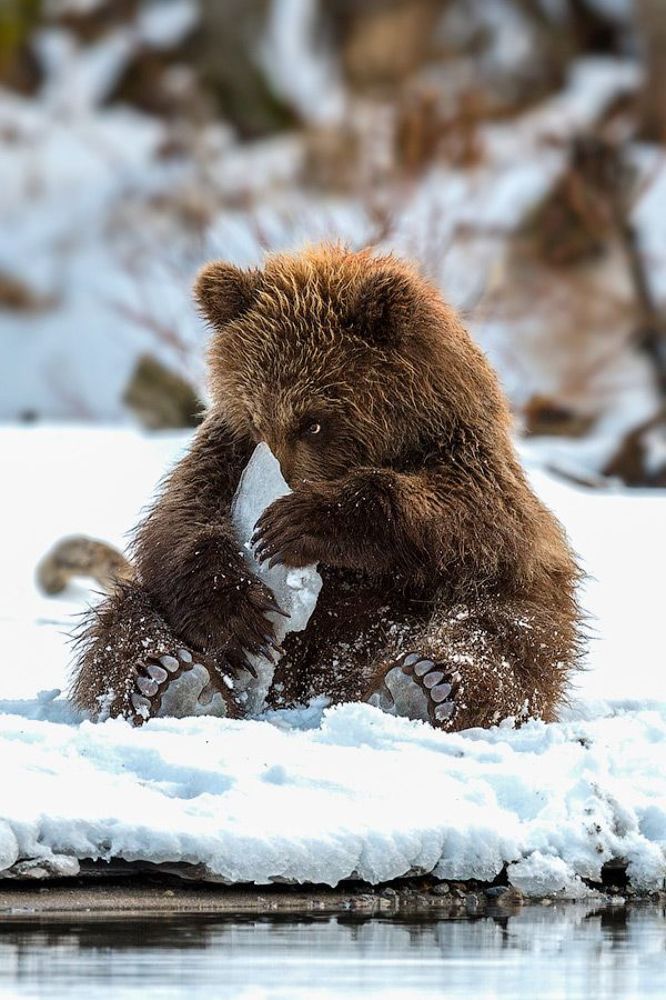 А может носом об неё потереться ?