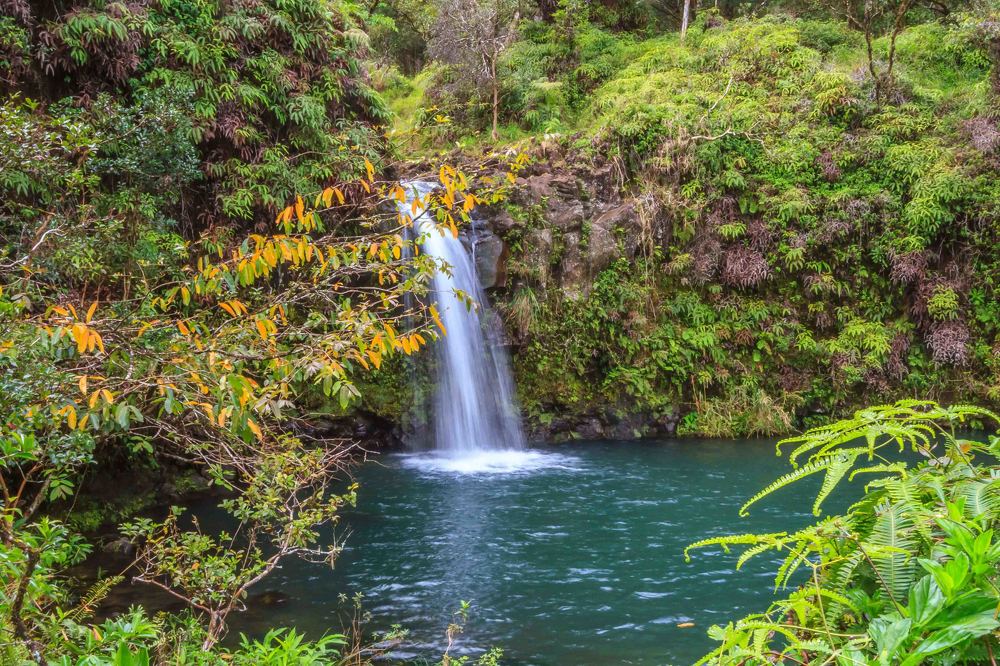Ну и какие же Гаваи без водопада. Кстати почему Гаваи ведь пишется Hawaii