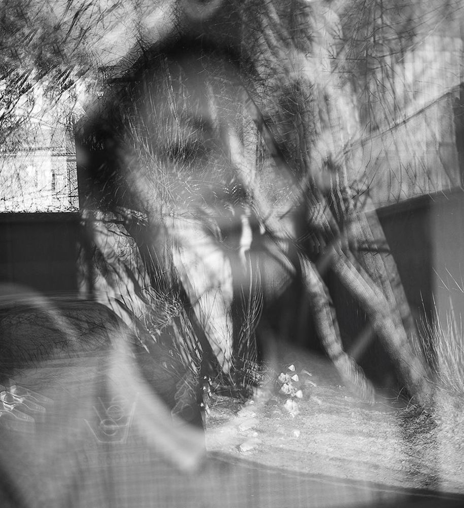 Photo 529337