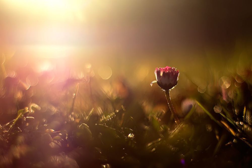 New day