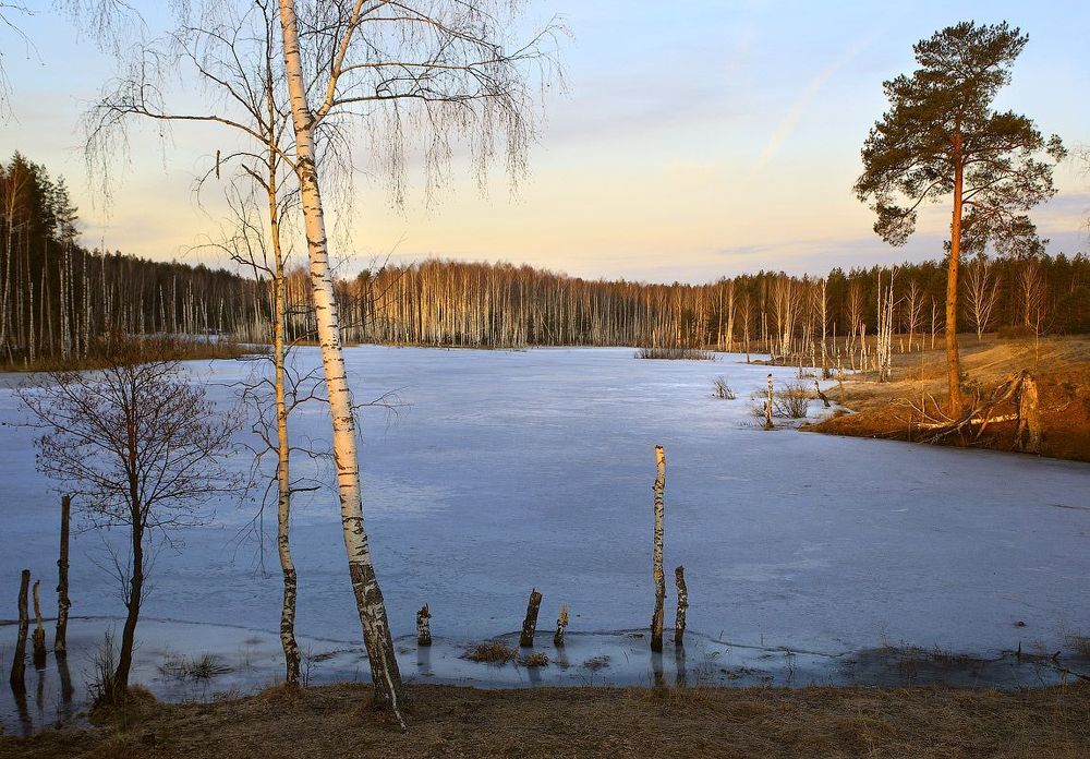 Поседний лёд в первых лучах