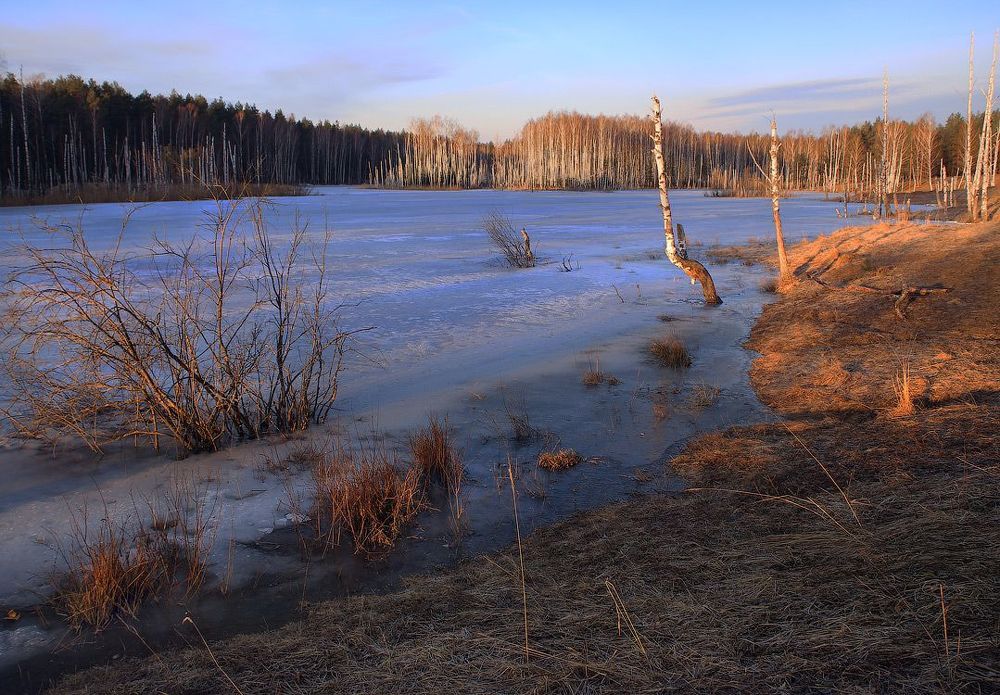 Поседний лёд в первых лучах