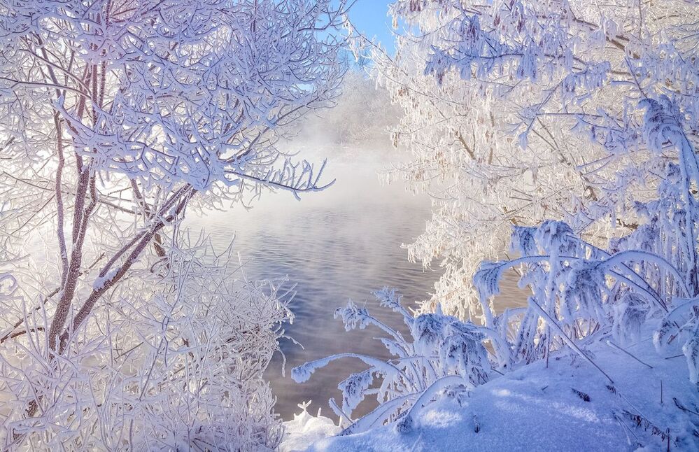 -31