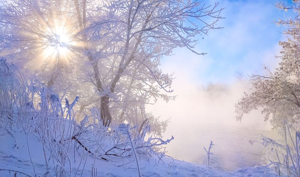 -31