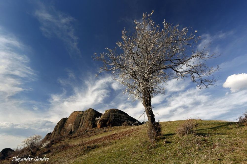 Bulgaria