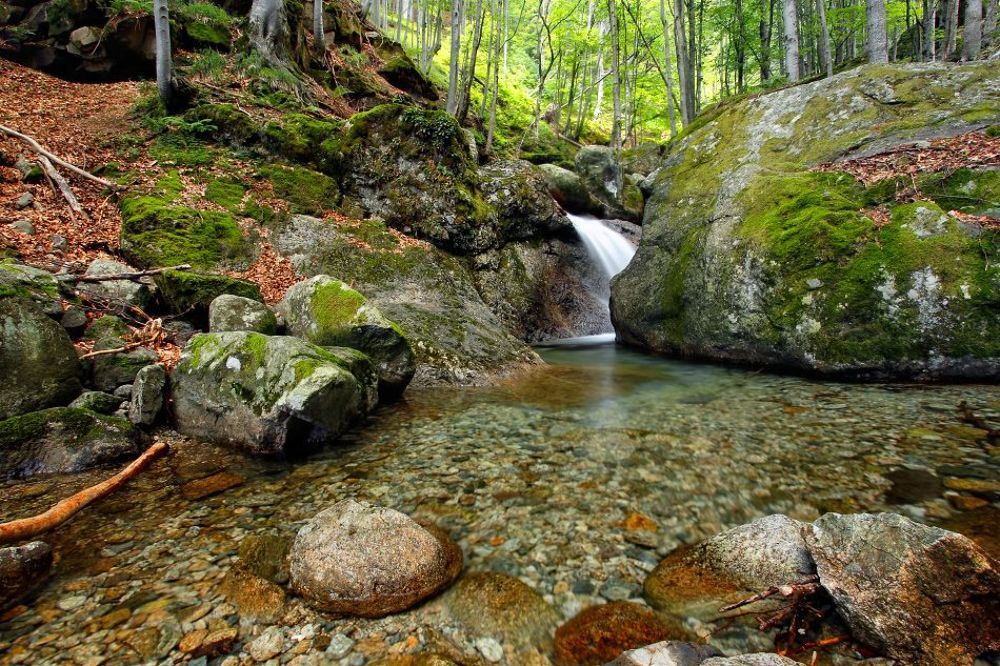 Bulgaria