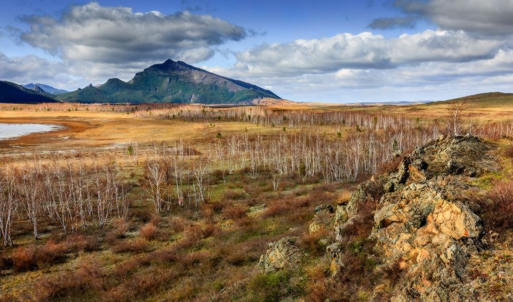 Апрельские зарисовки