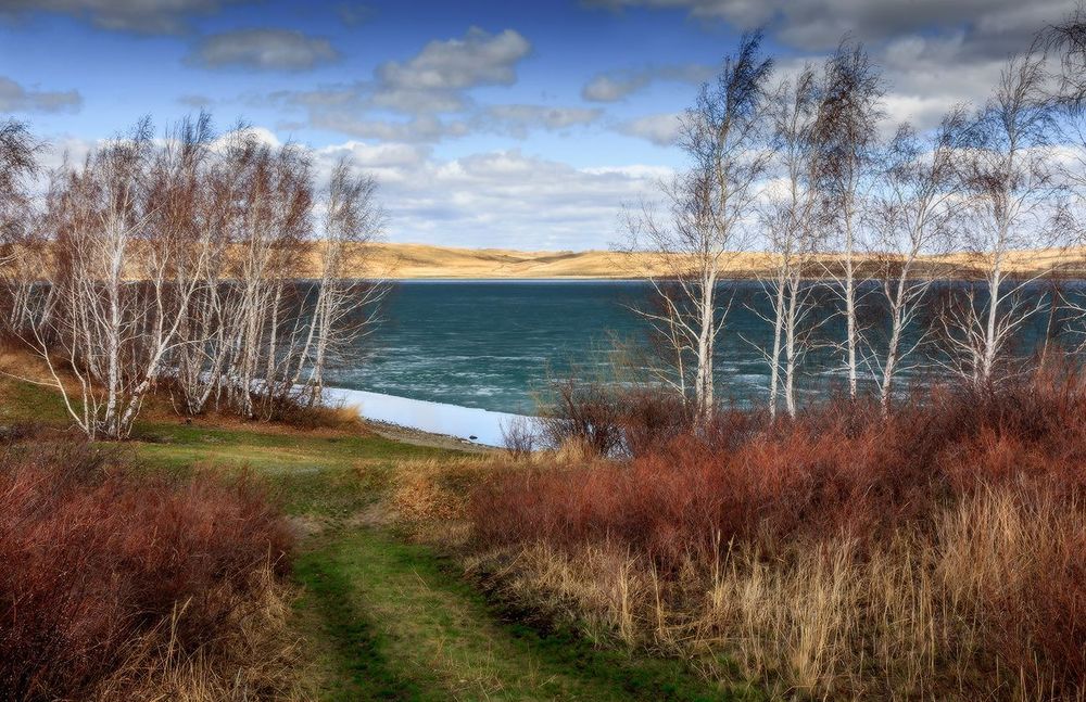 Апрельские зарисовки
