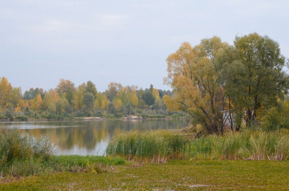 Снова осень закружила карусель мелодий...