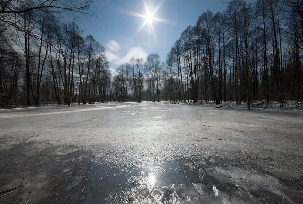 01 Дней десять назад многие старицы Мещёрских рек ещё были внушительно забиты зимним льдом&hellip;