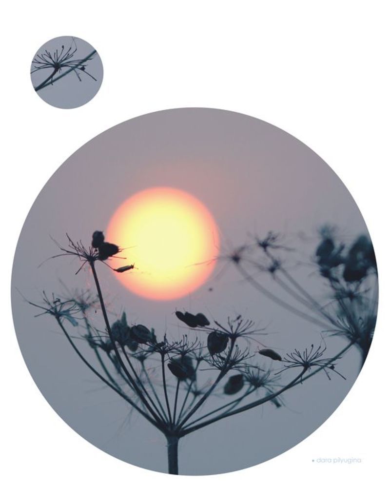 Photo illustrations