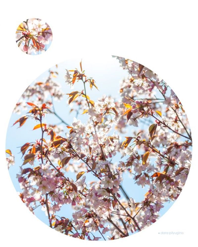 Photo illustrations