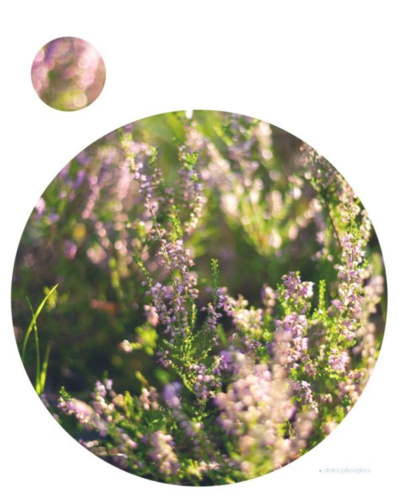 Photo illustrations