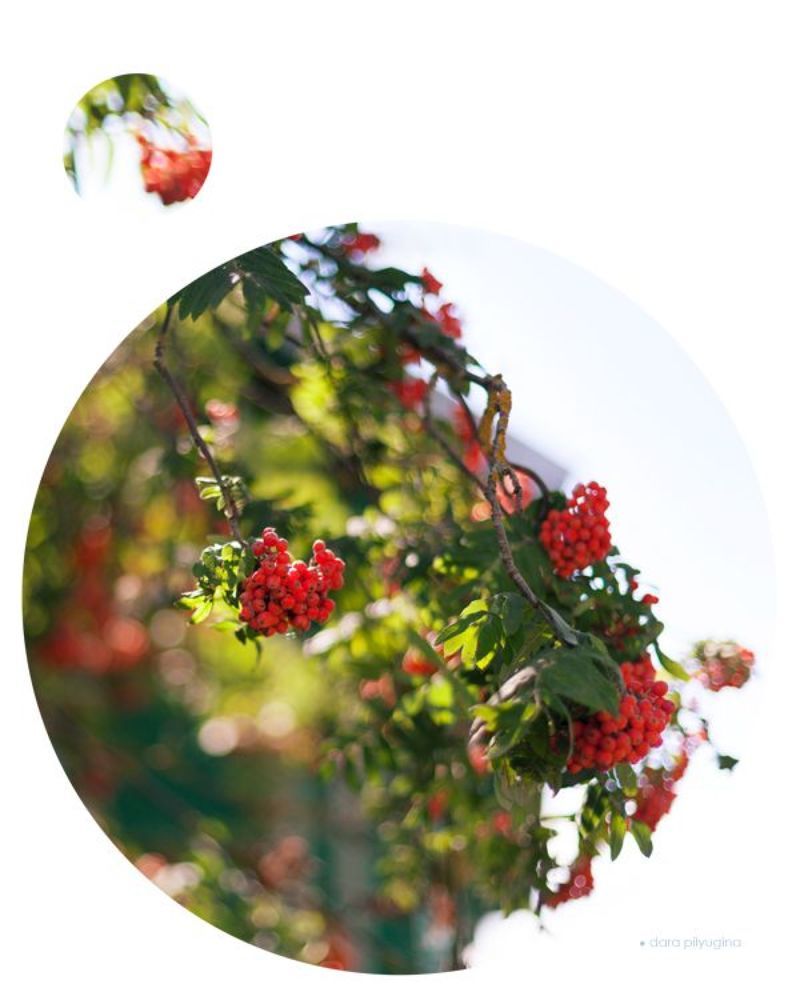 Photo illustrations