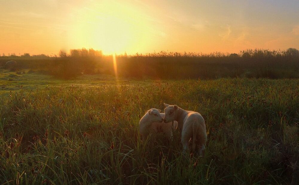 A spring morning.