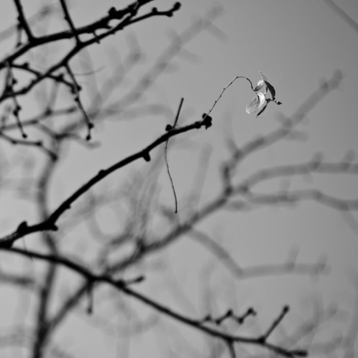 Photo 536032