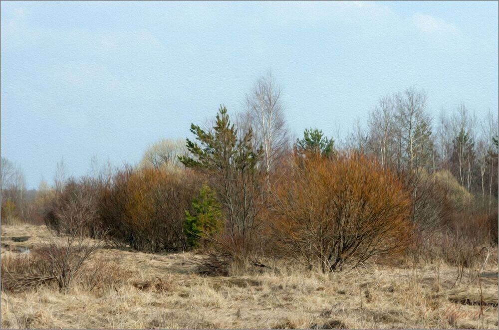 Краски ранней весны.