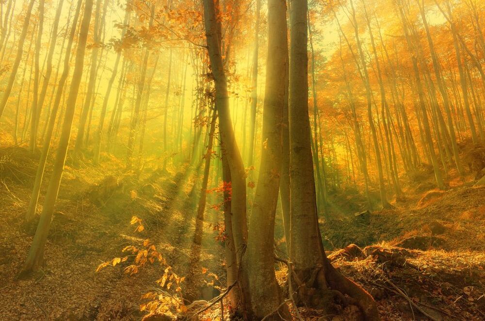 The Breath of Autumn