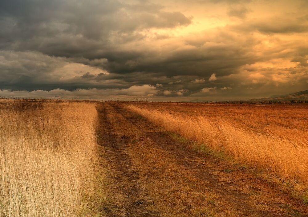 Horizon