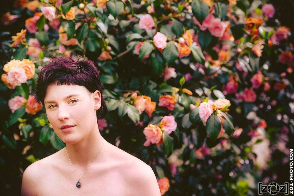 Roses