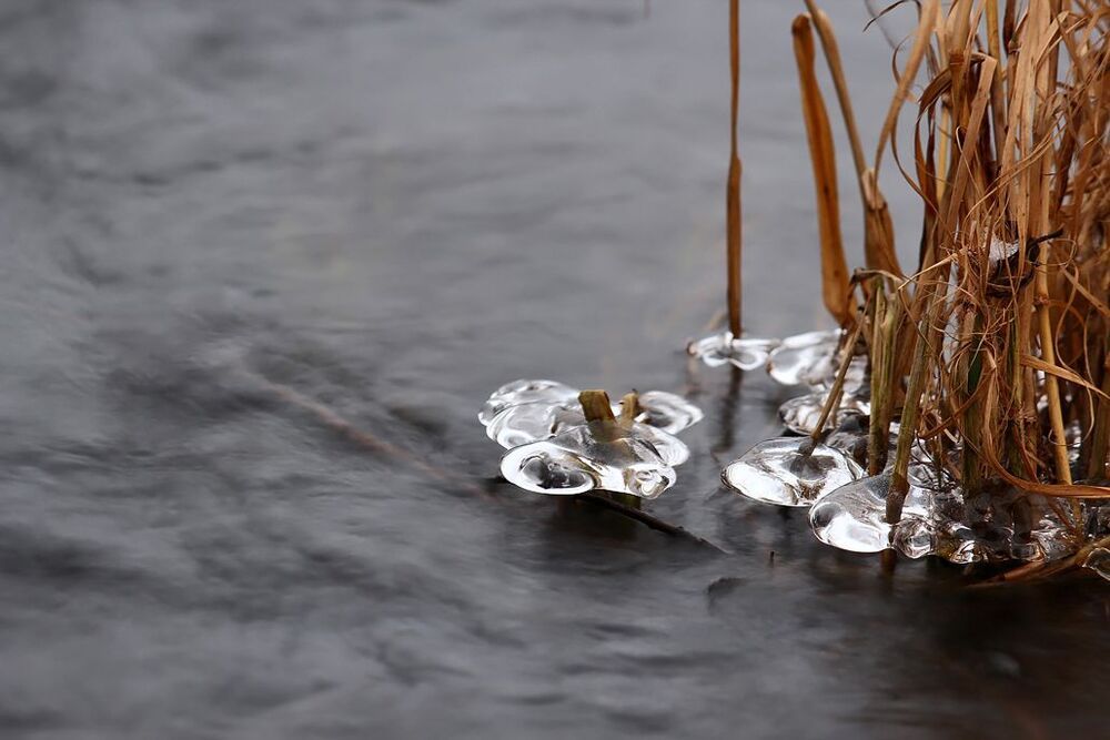 Царство льда и воды.